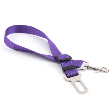 Fixed Strap Polyester Dog Strap Dog Leash Dog Leash - Cruish Home