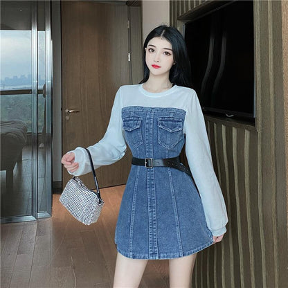 Long sleeve Denim Dress With Waist And Temperament - Cruish Home