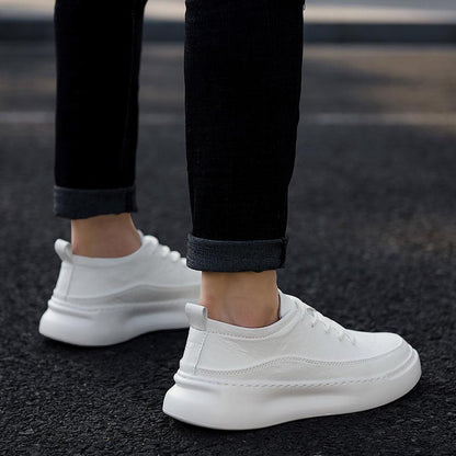 High-Top Shoes Men'S Shoes Autumn Board Shoes Trend Korean Wild Casual Shoes Men'S Trendy Shoes White Shoes Winter - Cruish Home