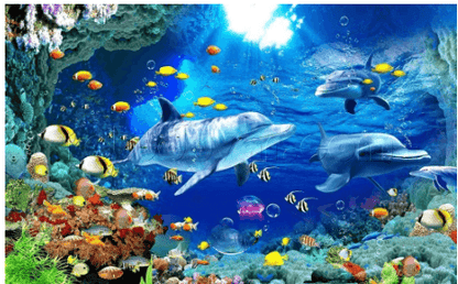 Ocean Fish Diy Digital Painting Painting Kit Abstract Oil Painting Digital - Cruish Home