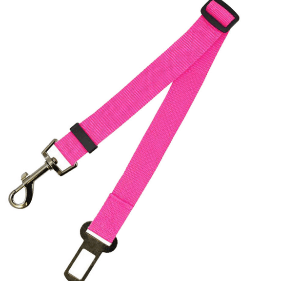 Fixed Strap Polyester Dog Strap Dog Leash Dog Leash - Cruish Home