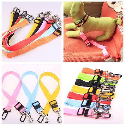 Fixed Strap Polyester Dog Strap Dog Leash Dog Leash - Cruish Home