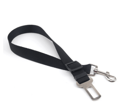 Fixed Strap Polyester Dog Strap Dog Leash Dog Leash - Cruish Home