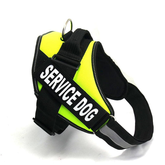 Dog chest strap - Cruish Home