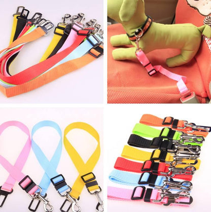 Fixed Strap Polyester Dog Strap Dog Leash Dog Leash - Cruish Home