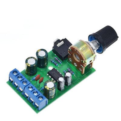 Power Amplifier Board 2.0 Stereo DC Power Amplifier Board Radio Power Amplifier Board - Cruish Home