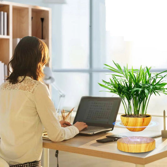 Levitating Plant Holder